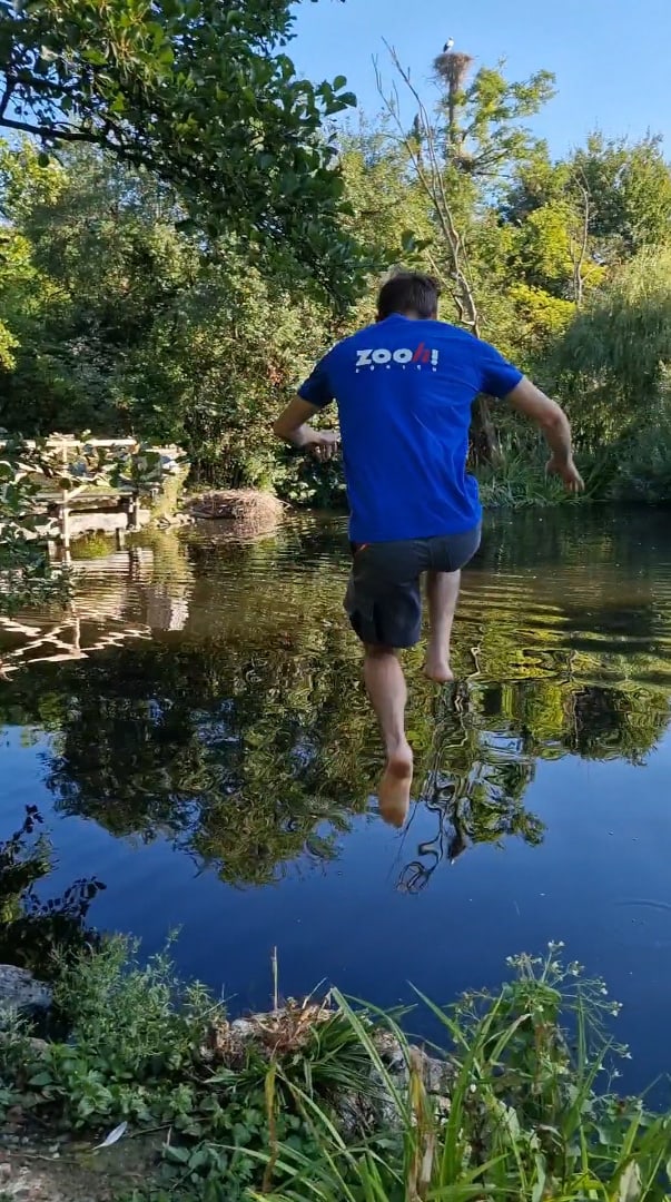 Tierpfleger*innen des Zoo Zürich springen im Rahmen der Teichchallenge 2022 ins Wasser.