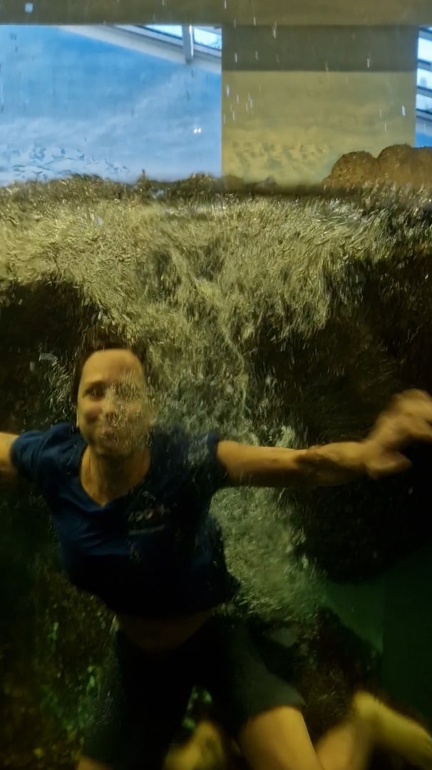 Tierpfleger*innen des Zoo Zürich springen im Rahmen der Teichchallenge 2022 ins Wasser.
