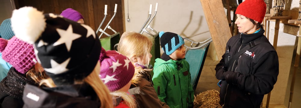 Projektwoche Kinder/Schüler im Zoo Zürich