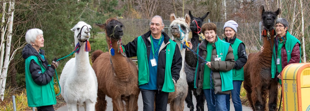 Freiwilligenteam Lamas