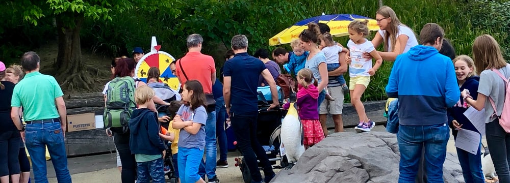 Dreamnight 2019 im Zoo Zürich