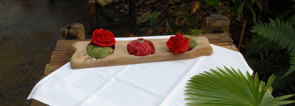 Heiraten/Hochzeit im Masoala Regenwald