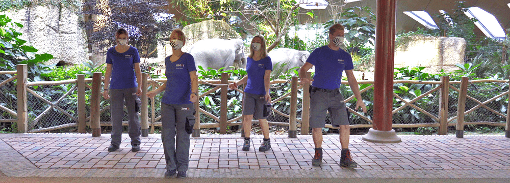 Making-of des Jerusalema-Tanzvideos im Zoo Zürich.