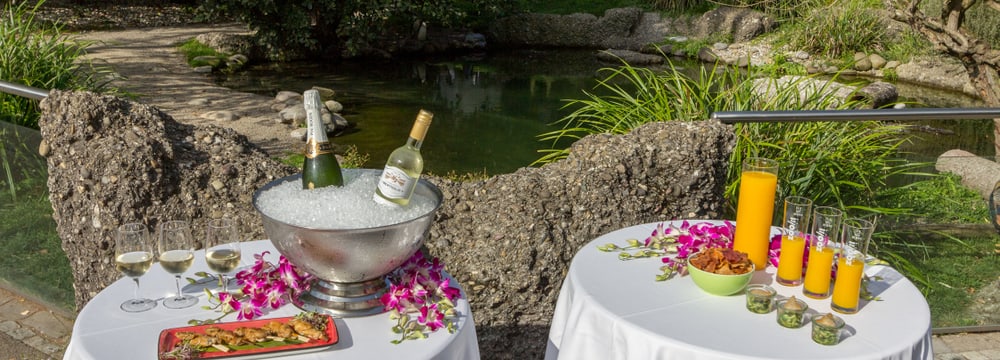 Apéro im Zoo Zürich