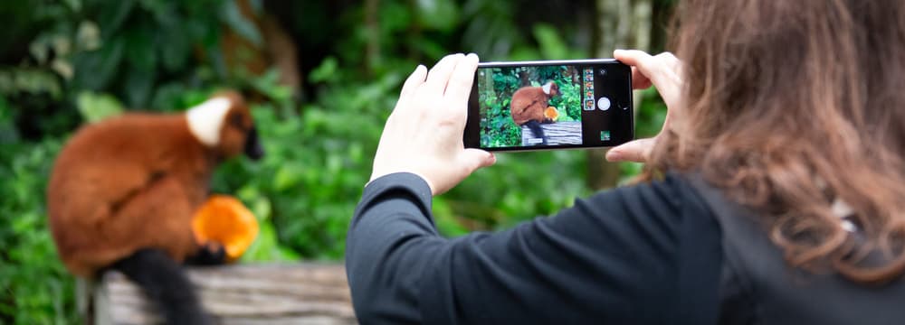 Smartphone-Fotografie im Masoala Regenwald.
