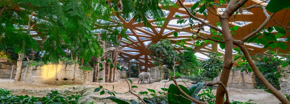 Kaeng Krachan Elefantenpark im Zoo Zürich, Januar 2024.