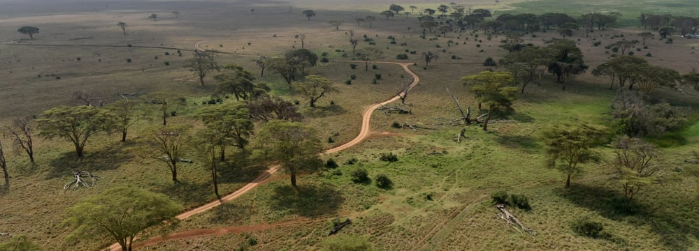 Lewa Wildlife Conservancy aus der Luft. 