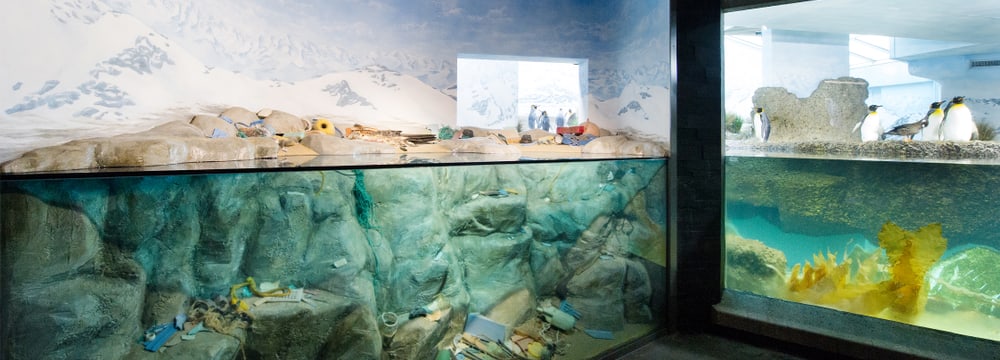 Ausstellung Meeresverschmutzung im Aquarium des Zoo Zürich.