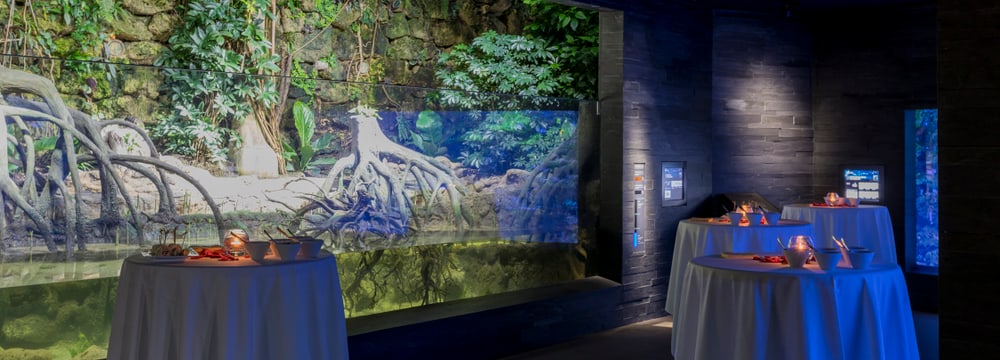 Aquarium im Zoo Zürich