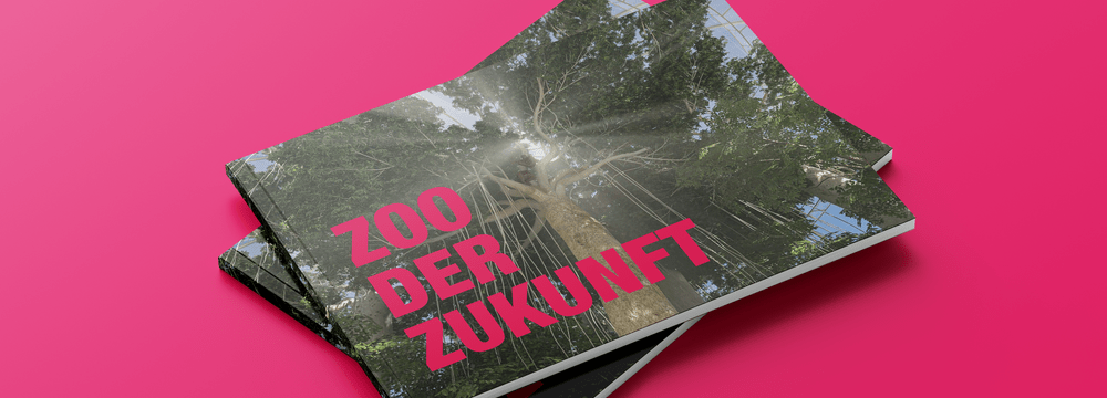 Mockup Broschüre Entwicklungsplan 2050