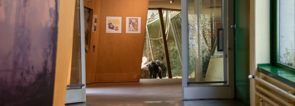 Zoo Zürich im März 2020, für die Besucher aufgrund der Covid-19-Pandemie geschlossen.