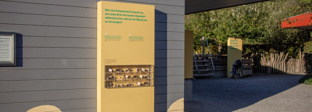 Ausstellung Zoolino im Zoo Zürich.