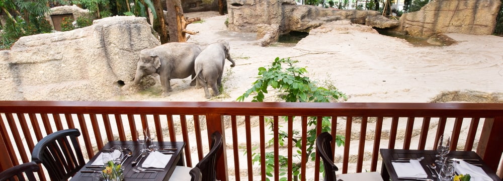 Thailodge im Kaeng Krachan Elefantenpark im Zoo Zürich