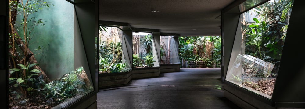 Zoo Zürich im März 2020, für die Besucher aufgrund der Covid-19-Pandemie geschlossen.