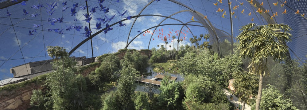 Visualisierung der geplanten Pantanal Voliere im Zoo Zürich, Sicht vom Turm.