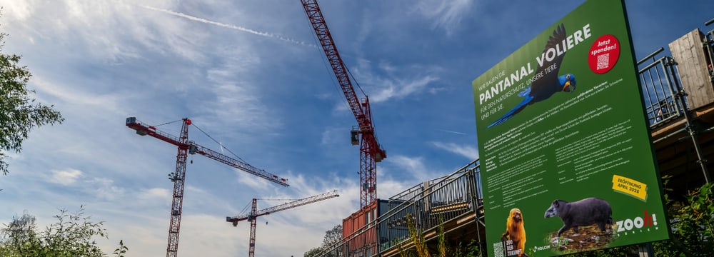 Blick auf die Baustelle für die Pantanal Voliere im Zoo Zürich im Oktober 2024.