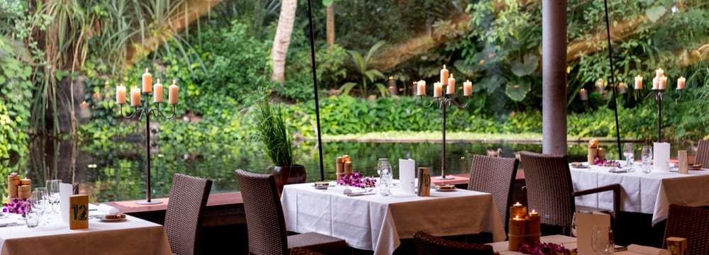 Restaurant Masoala im Zoo Zürich