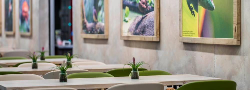 Gastraum des Restaurants Masoala im Zoo Zürich, 2022.