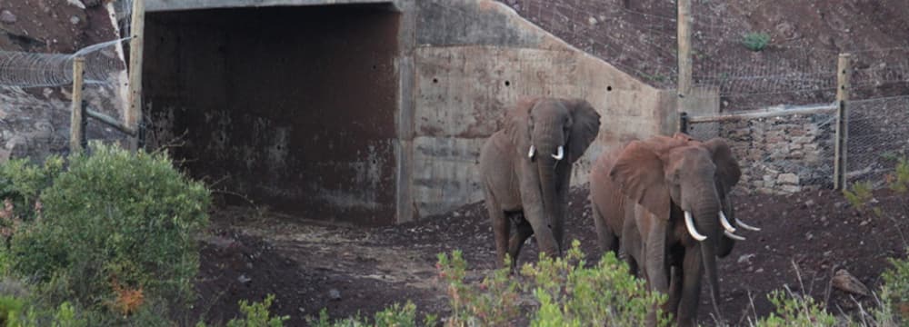 Wildtierkorridor in der Lewa Wildlife Conservancy.