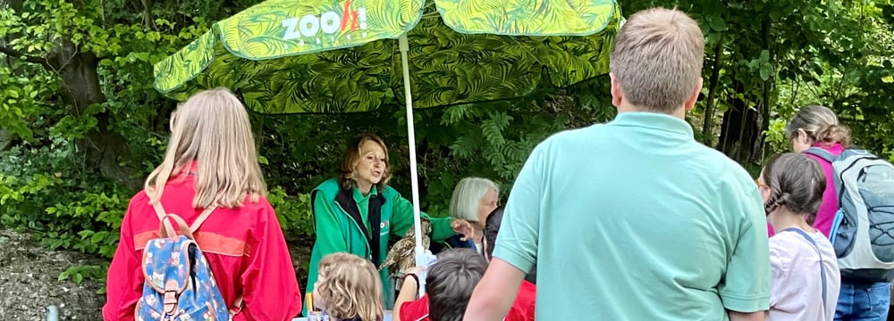 Dreamnight at the Zoo im Zoo Zürich im Juni 2022.