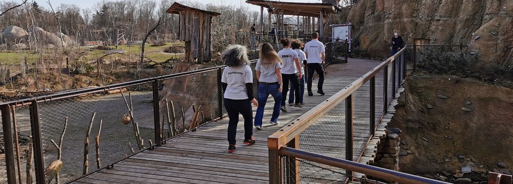 Aufnahmen für die Jerusalema-Tanzchallenge in der Lewa Savanne.