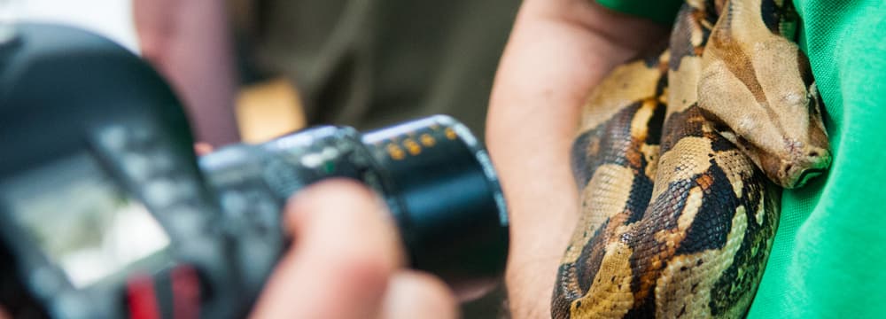 Fotografieren im Zoo Zürich
