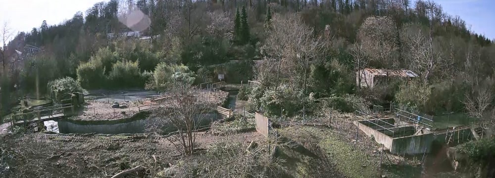 Screenshot der Baustellencam Pantanal Voliere aus dem Zeitraffer-Film vom Juli 2024.
