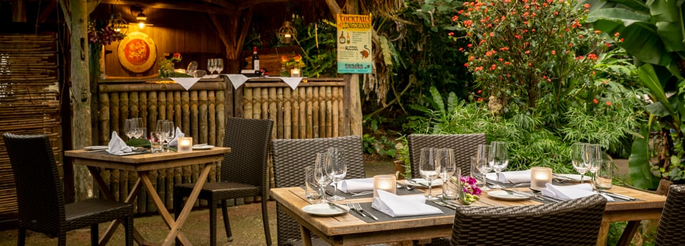 Moodbild Tropical Dinner im Masoala Regenwald des Zoo Zürich.
