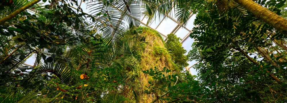 Masoala Regenwald im Zoo Zürich im Februar 2023.
