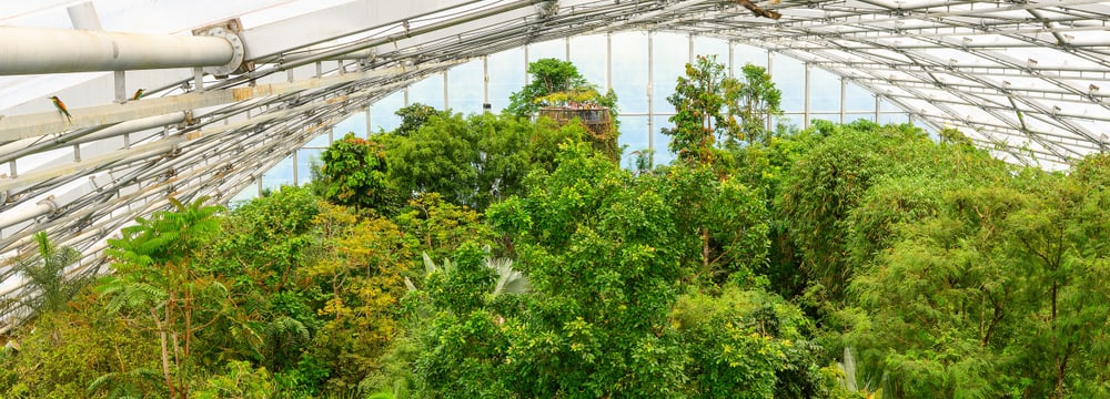 Der Masoala Regenwald im Zoo Zürich.