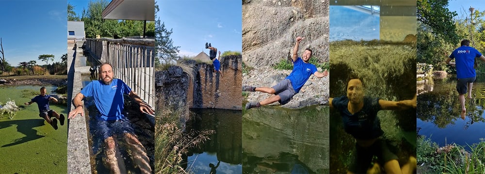 Bildcollage mit Sprungbildern der Teichchallenge 2022.