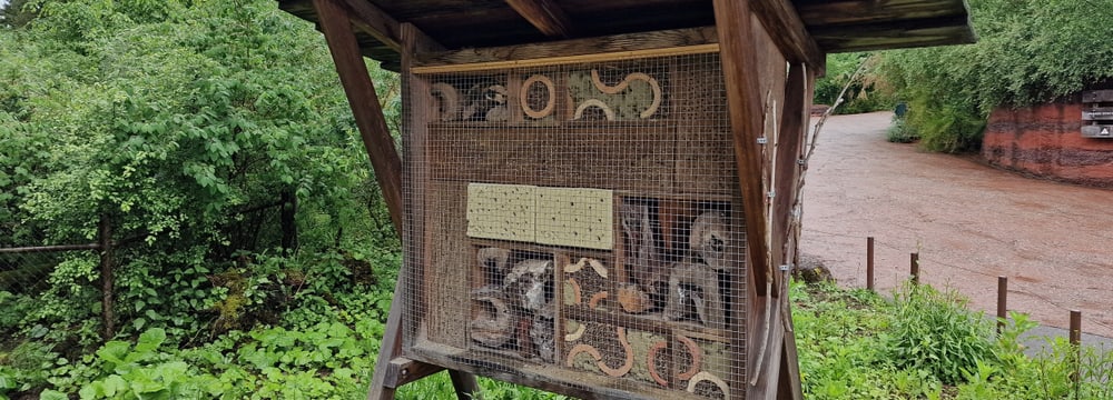 Wildbienenhotel neben der Australienanlage im Zoo Zürich.