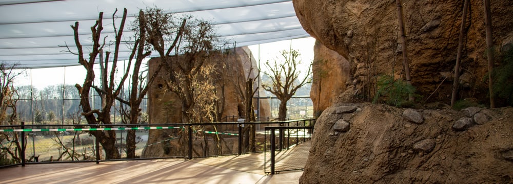 Blick in den oberen Stock des Lewa Giraffenhauses.