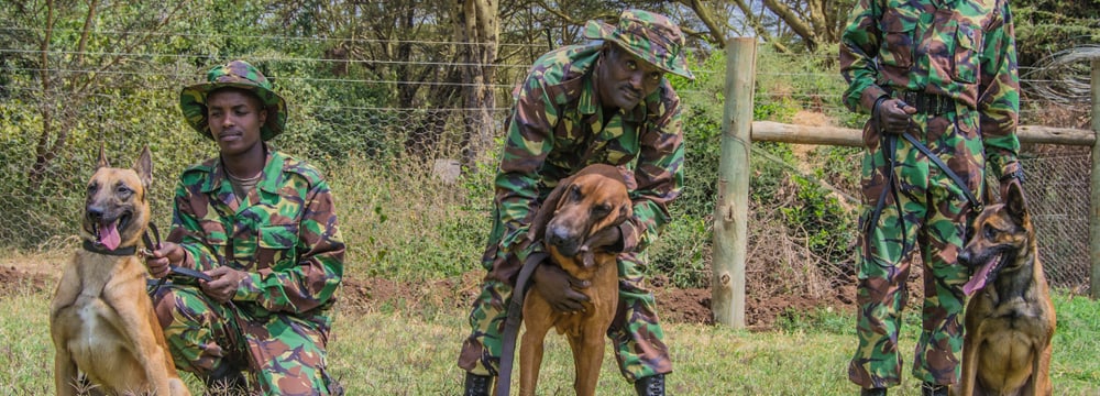 Tracker Dogs mit ihren Hundeführern im Lewa Wildlife Conservancy.