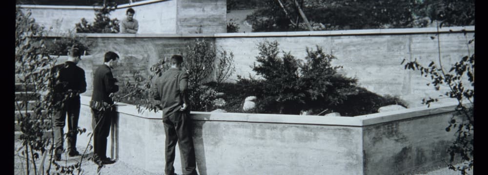 Historische Aufnahme Zoo Zürich