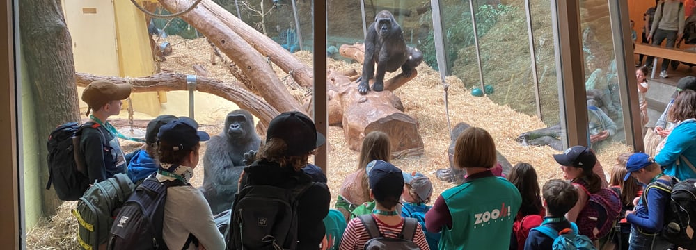 KInder-Zoonachmittag des Freiwilligenteams FTZ im Zoo Zürich.