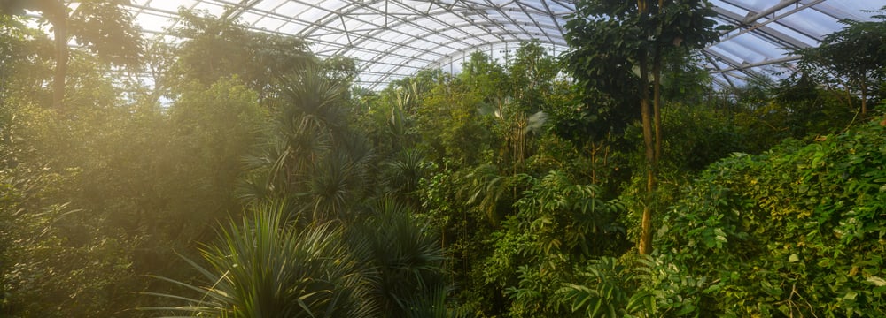 Masoala Regenwald im Zoo Zürich.