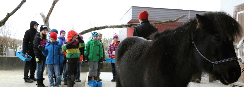 Projektwoche Kinder/Schüler im Zoo Zürich