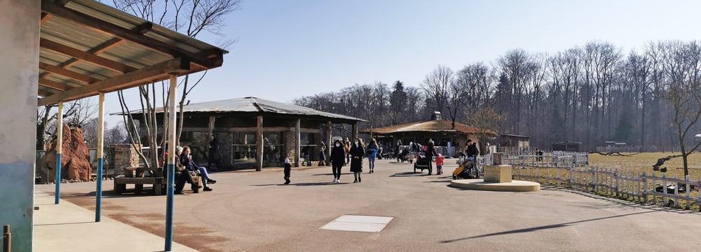 Tag der Zoo-Wiedereröffnung am 1.3.2021.