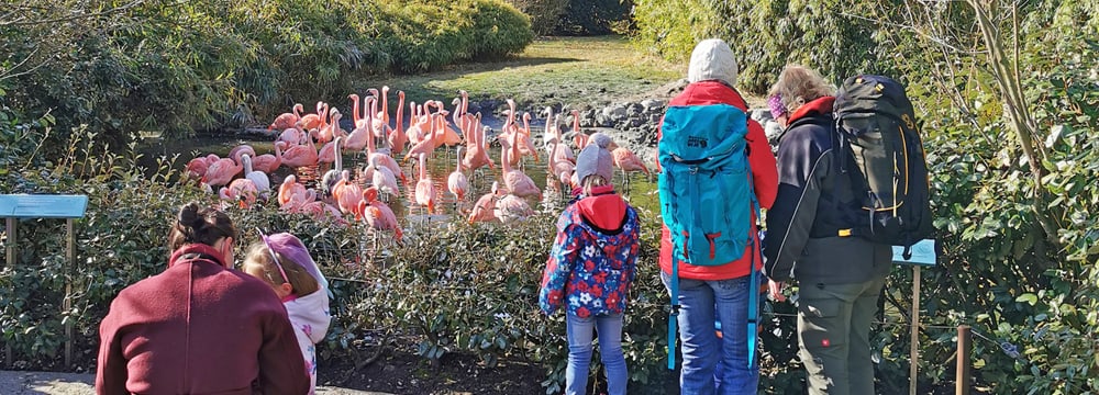 Tag der Zoo-Wiedereröffnung am 1.3.2021.