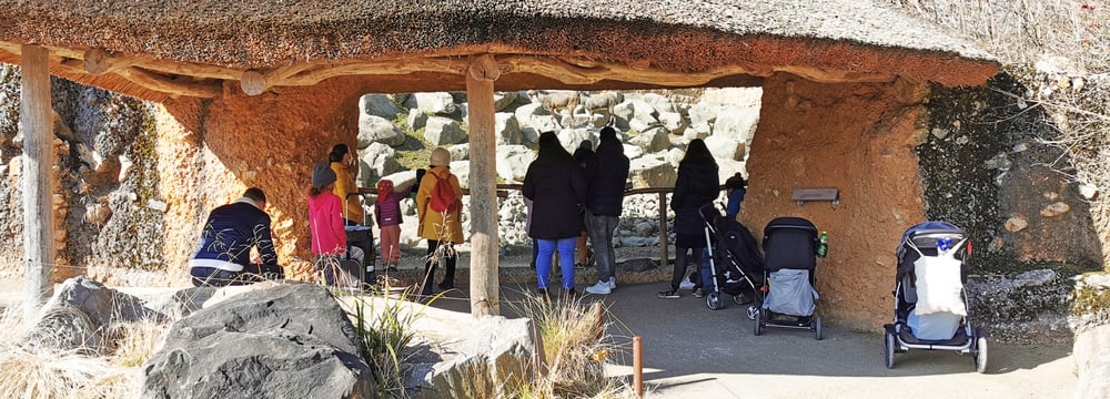 Tag der Zoo-Wiedereröffnung am 1.3.2021.