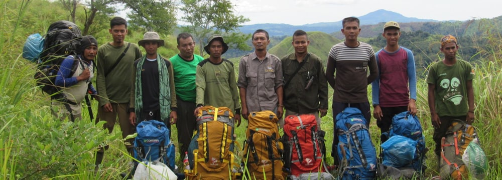 Wiederansiedlung Orang-Utans in Sumatra