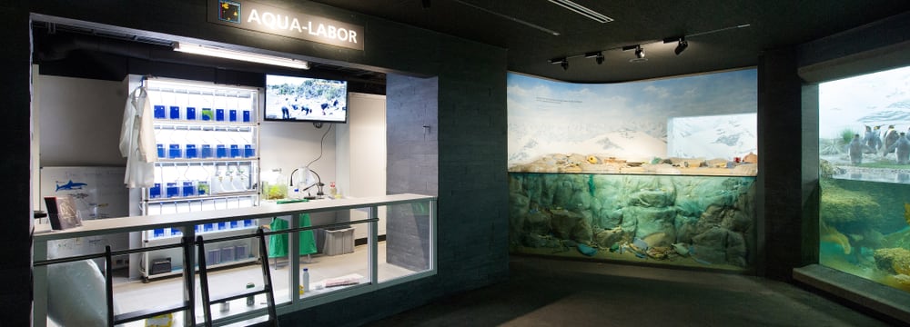 Aqualabor im Aquarium des Zoo Zürich.