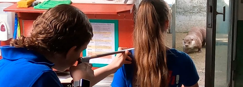 Tierärztin Patricia Kunze (l.) und Tierpflegerin Angela Perin de Iaco narkotisieren das Fischotter-Weibchen Lulu per Blasrohr.