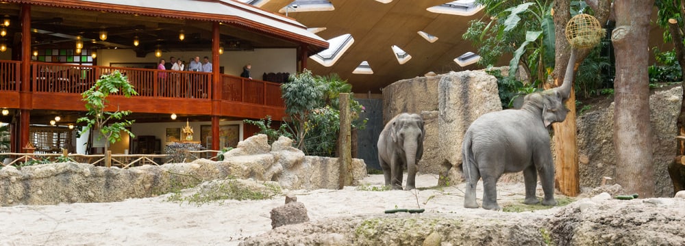 Thailodge im Kaeng Krachan Elefantenpark im Zoo Zürich