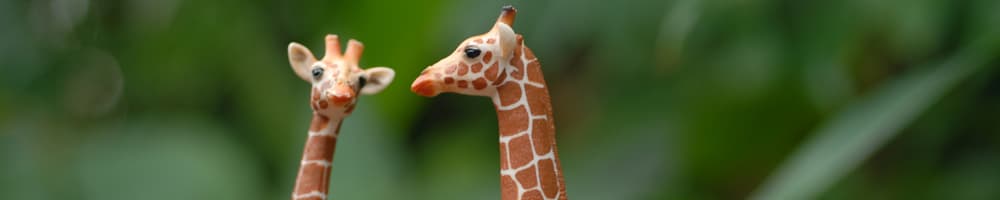 Schleich-Giraffen im Masoala Regenwald