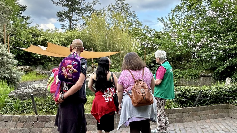 Dreamnight im Zoo Zürich am 7.6.2024.