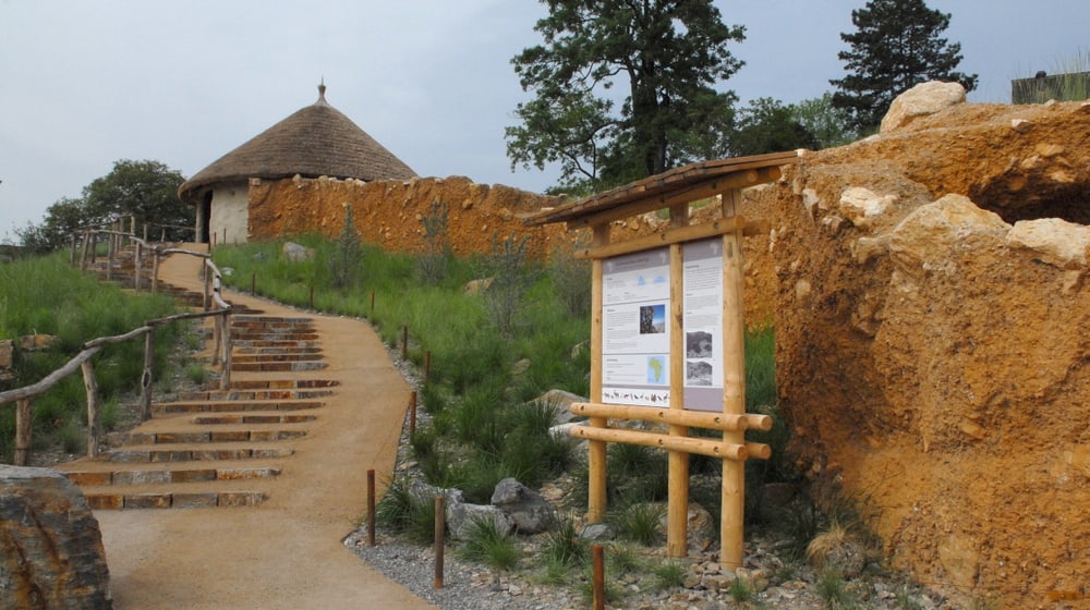 Ausstellung Steinbock und Affe