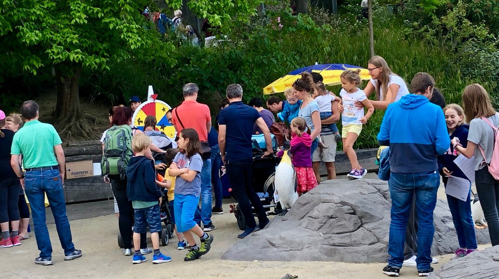 Dreamnight 2019 im Zoo Zürich
