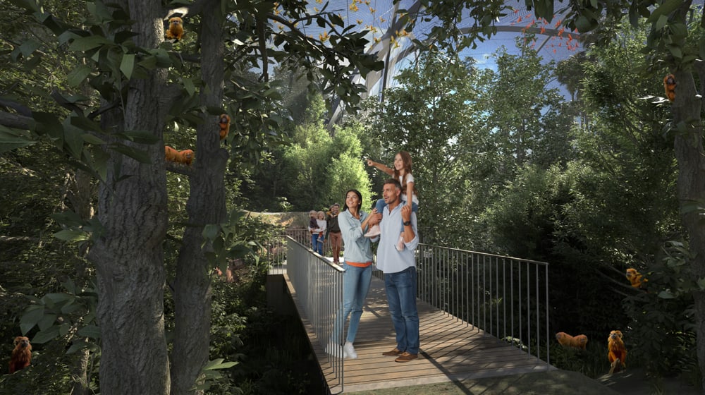 Rendering der geplanten Pantanal Voliere im Zoo Zürich, Blick auf Waldweg.